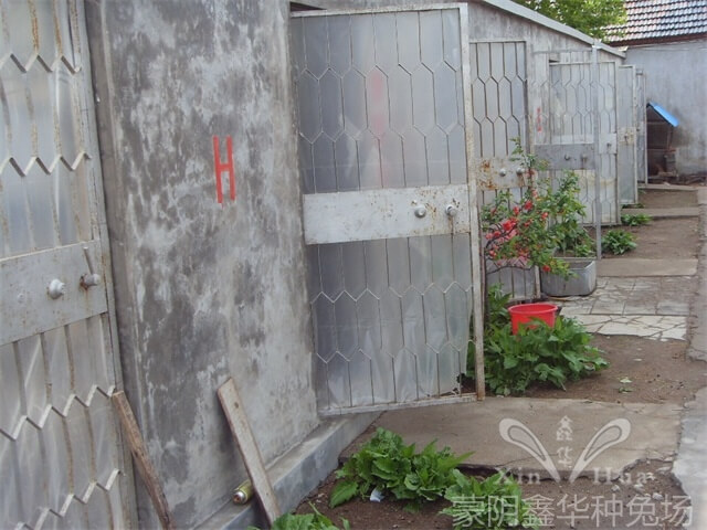 園區(qū)景觀